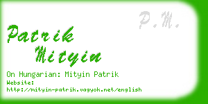 patrik mityin business card